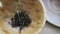 Dried Tea leaf pouring in wooden bowl on wood background