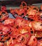 Dried tomatoes, organic dried tomatoes, winter tomatoes, home tomato drying