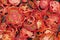 Dried tomatoes, organic dried tomatoes, winter tomatoes, home tomato drying