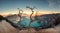 Dried tree on active volcano crater with turquoise lake at dawn