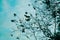 A Dried Tree Against a Blue Sky: A Beautiful Nature Background on a Summer Day