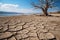 Dried tree on dried ground. Global warming concept. Generated by artificial intelligence