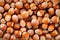 Dried unshelled hazelnuts seeds of Whole nuts as background