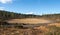 Dried-up Lake in Taiga Forest