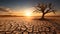 Dried up mud in arid desert