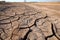 a dried-up pond with cracks in the muddy surface