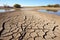 a dried-up pond with cracks in the muddy surface