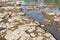 Dried up riverbed of the Elbe River in Magdeburg in Germany