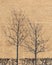 Dried up tree bare branches abandoned garden global warming environment with shadow on concrete wall background vertical picture
