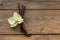 Dried vanilla pods and orchid vanilla flowers on wooden background.vanilla sugar