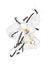 Dried vanilla sticks with flowers in twisted milk splashes on a white background