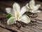 Dried vanilla sticks and vanilla orchid on wooden table