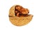 Dried walnut on white background