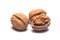 Dried walnuts close up on a white background