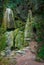 Dried waterfall. Rock with caves covered with green moss