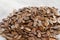 Dried watermelon seeds.Blurred focus.Ð¡oncept of useful properties, treatment