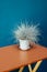 Dried wheat vase wood table ryegrass raaigras grass flowerpot orange blue wall white gray wan design concept interior withered