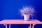 Dried wheat vase wood table ryegrass raaigras grass flowerpot pink blue wall white gray wan design concept interior withered