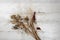 Dried winter weeds and seed pods on white wood background