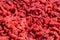 Dried Wolfberry or Goji berries, Chinese Herbal healthy food source of Vitamin C