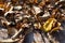 Dried yellow apple leaves on rustic pine table