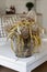 Dried yellow Banksia flowers in vase