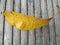 Dried yellowing manggo leaves on a bamboo board