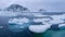 Drift floating Ice, Albert I Land, Norway