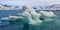 Drift floating Ice, Nordvest-Spitsbergen National Park, Arctic