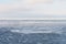 Drift ice