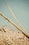 Drift wood and sticks on a beach in Dorset