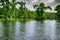 Drifting on a Boat in Wakulla Springs State Park