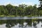 Drifting Down a River in Wakulla Springs State Park