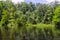 Drifting Down a River in Wakulla Springs State Park