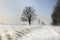 Drifting snow across the road. Ontario, Canada