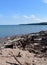 Driftwood along the Lake Superior shore