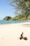 Driftwood on beach at Cape Tanod