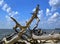 Driftwood Beach on Jekyll Island, Georgia.