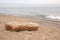 Driftwood on beach, Lake Michigan