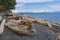 Driftwood on beach on Nanaimo Vancouver island British Columbia