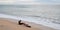 Driftwood on the beach in San Jose Del Cabo near Cabo San Lucas in Baja California Mexico