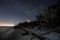 Driftwood on the Beach - Sanibel Lighthouse Beach, Florida