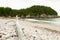 Driftwood at Black Brooke Cove - Cape Breton - Nova Scotia