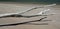 Driftwood branch extending across a beach