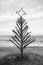 Driftwood Christmas Tree, Pouaua Beach, Gisborne, New Zealand