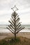 Driftwood Christmas Tree, Pouaua Beach, Gisborne, New Zealand
