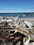 Driftwood details wood Water sea waves beach sand pebbles