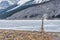 Driftwood on the edge of the frozen Spray Lakes Reservoir