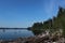 Driftwood on the edge of Lake Quinault