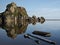 Driftwood floating in a tidepool